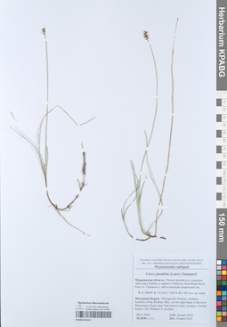 KPABG052422