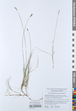 KPABG052423