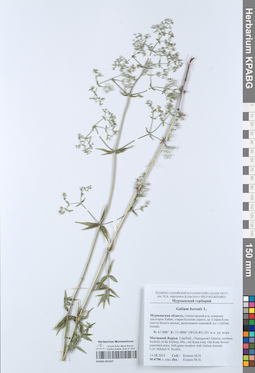 KPABG052427