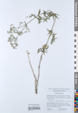 KPABG052430