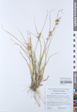 KPABG052432