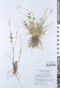 KPABG052434