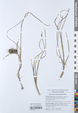 KPABG052438