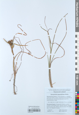 KPABG052439