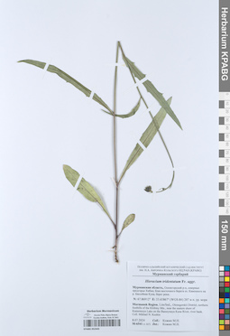 KPABG052445