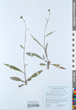 KPABG052446