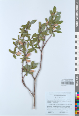 KPABG052451