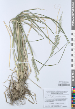 KPABG052452