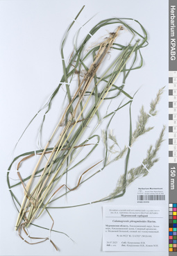 KPABG052456