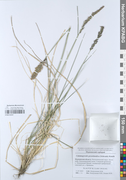KPABG052457