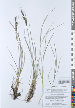 KPABG052461