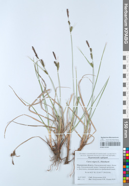 KPABG052464