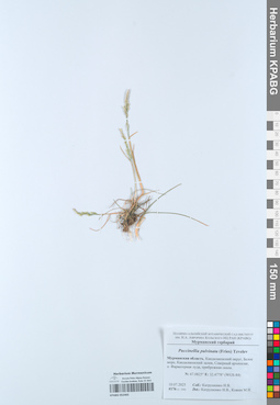 KPABG052465
