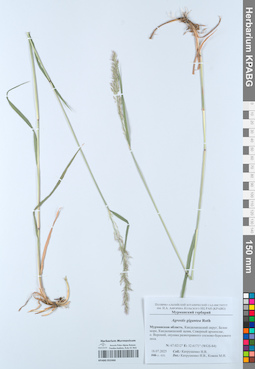 KPABG052466