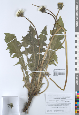 KPABG052469