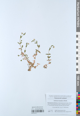 KPABG052475