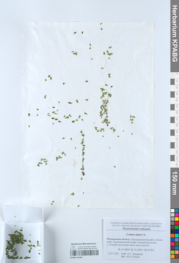 KPABG052484