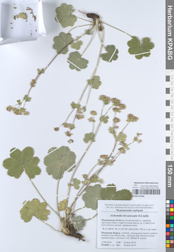 KPABG052506
