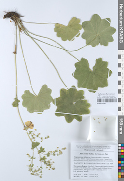 KPABG052508