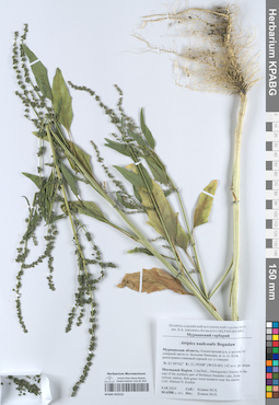 KPABG052523
