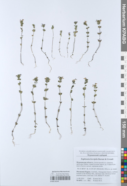 KPABG052545