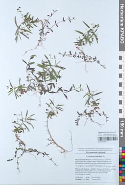 KPABG052548
