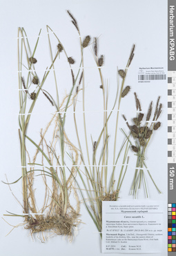 KPABG052552