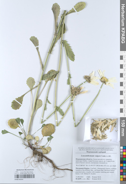 KPABG052553