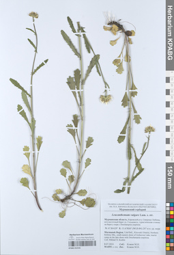 KPABG052556