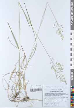 KPABG052558