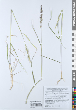 KPABG052564