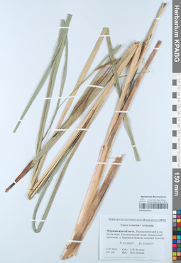 KPABG052571