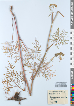 KPABG052573