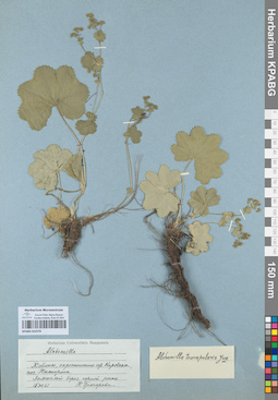 KPABG052578