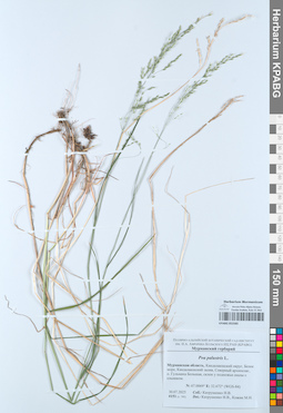 KPABG052585