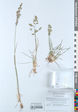 KPABG052586