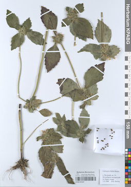 KPABG052587