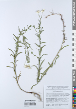 KPABG051893