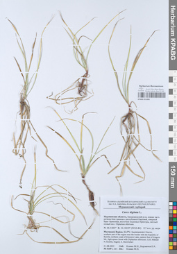 KPABG051896
