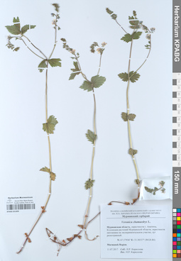 KPABG051899
