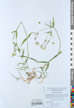 KPABG051901