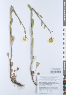 KPABG051905