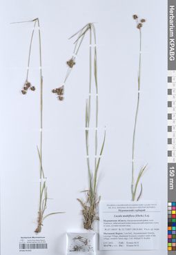 KPABG051923