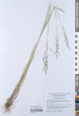KPABG051927
