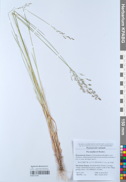 KPABG051928