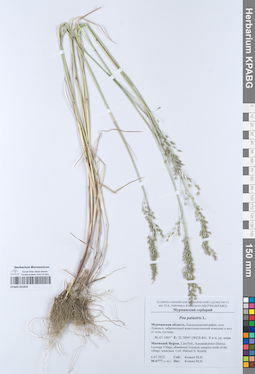 KPABG051929