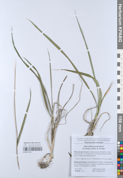 KPABG051932
