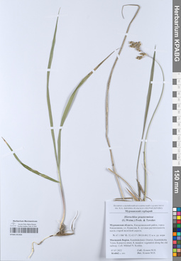 KPABG051933