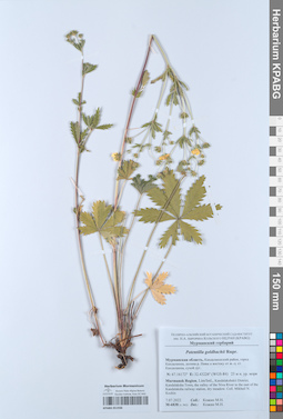 KPABG051936
