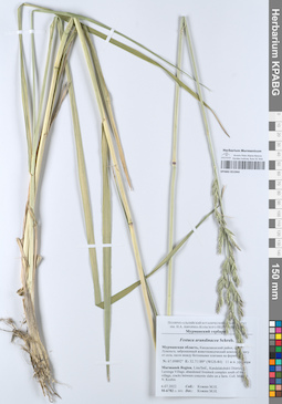 KPABG051944